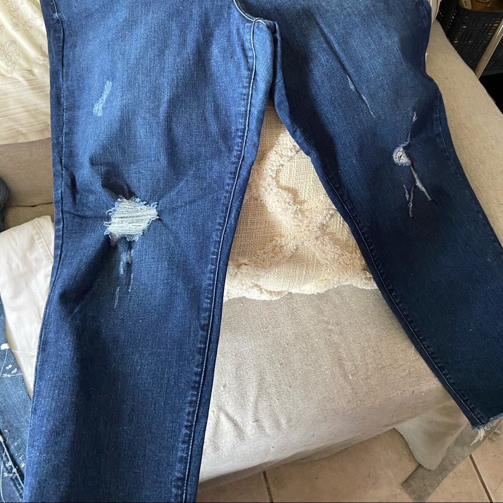 Lane Bryant jeans